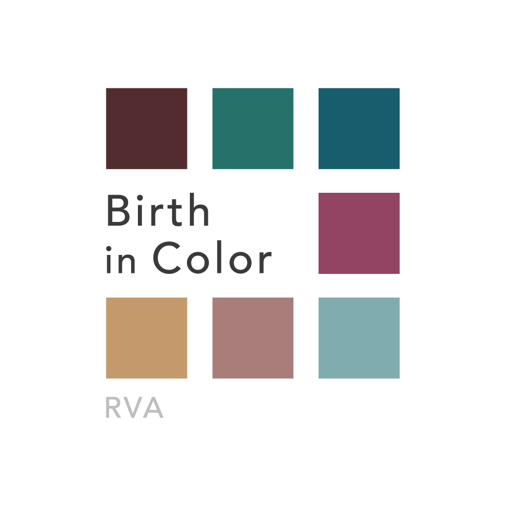 Birth in Color RVA Logo Guide_Full Color